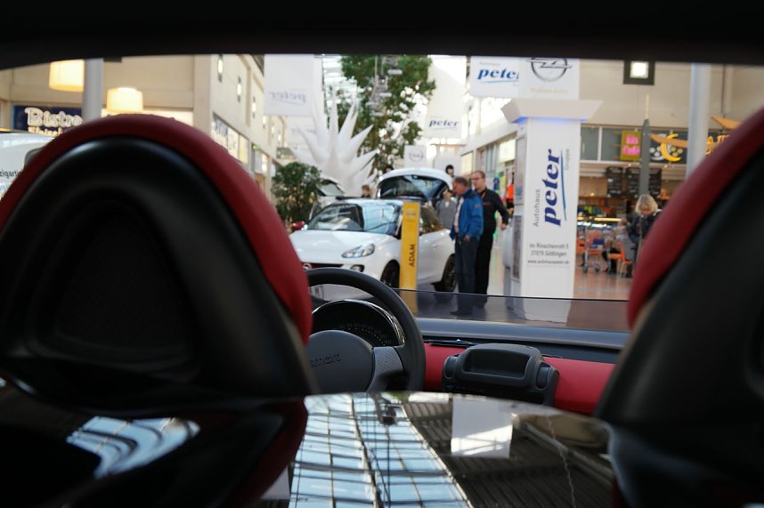 Ausstellung im Kauf Park