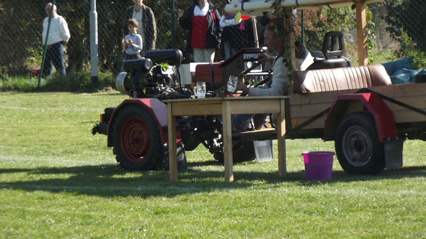 16. Mops-Rennen in Hachelbich