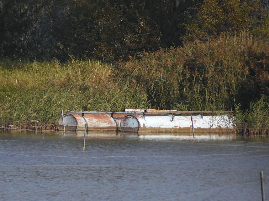 Fischerfest in Auleben