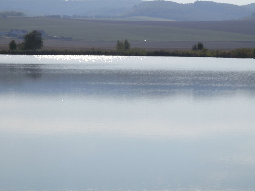 Fischerfest in Auleben