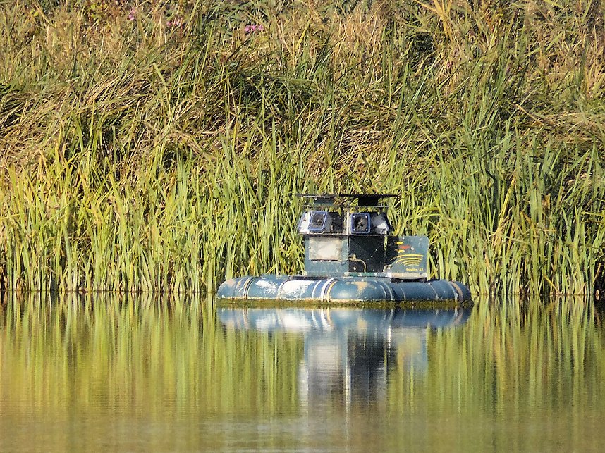 Fischerfest in Auleben