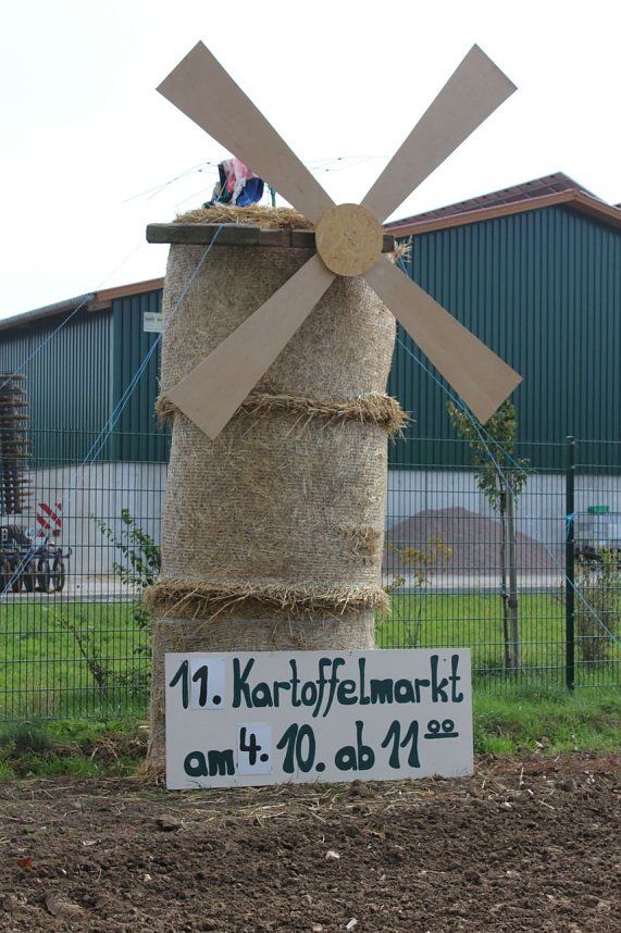 Die haben gekauft wie die Irren!