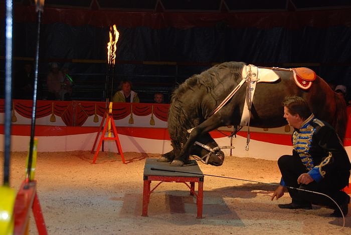 Circus Rolina gastiert in Nordhausen 