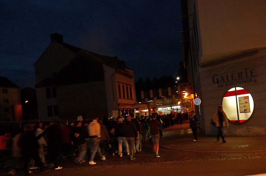 Demonstration und Gegendemonstration (1)