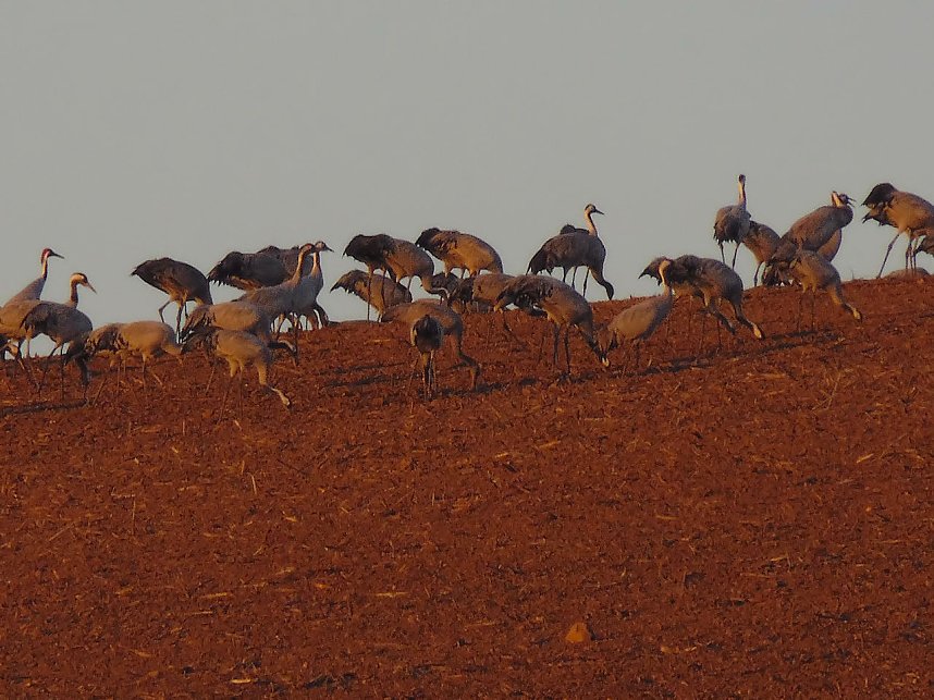 Die Flugschau ist er&ouml;ffnet