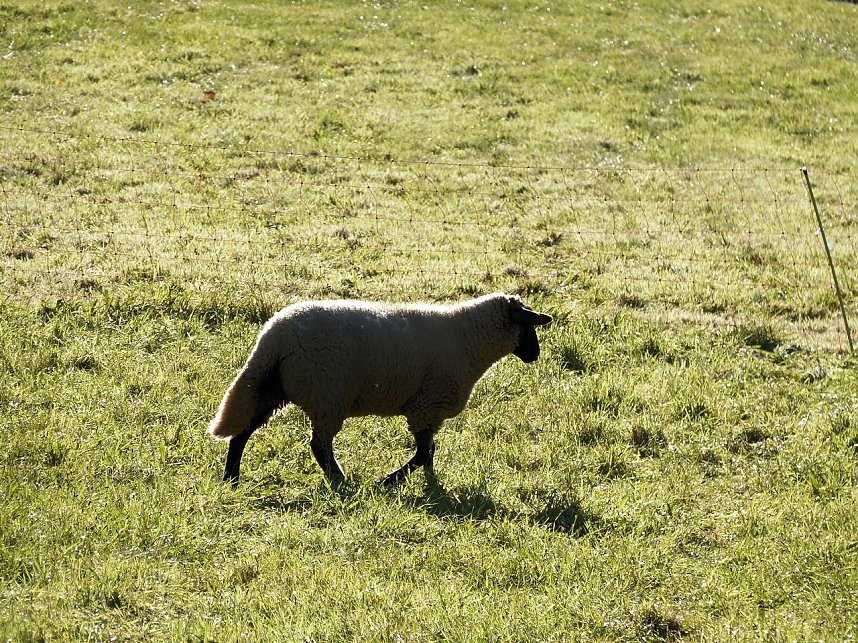 Die Flugschau ist er&ouml;ffnet