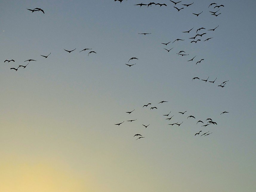 Die Flugschau ist er&ouml;ffnet