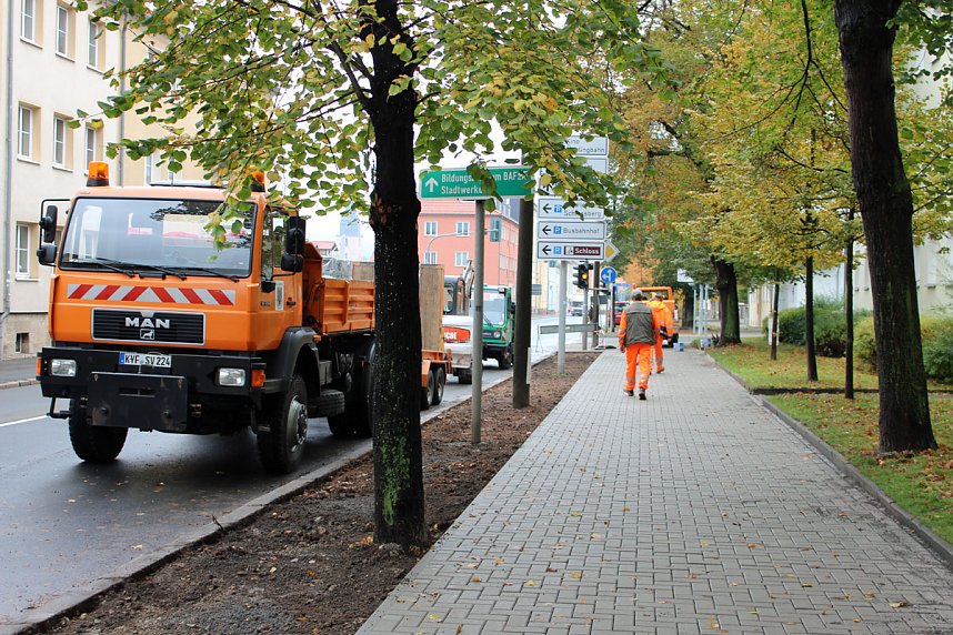 Gehweg schick gemacht