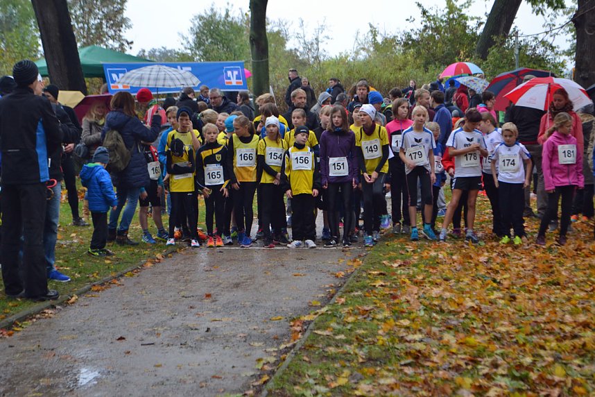Impressionen vom 22. Stadtparklauf Sondershausen