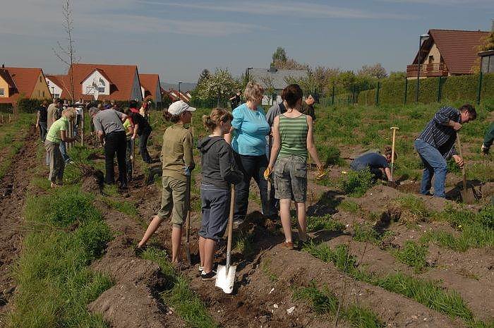 Tag des Waldes in Bad Frankenhausen