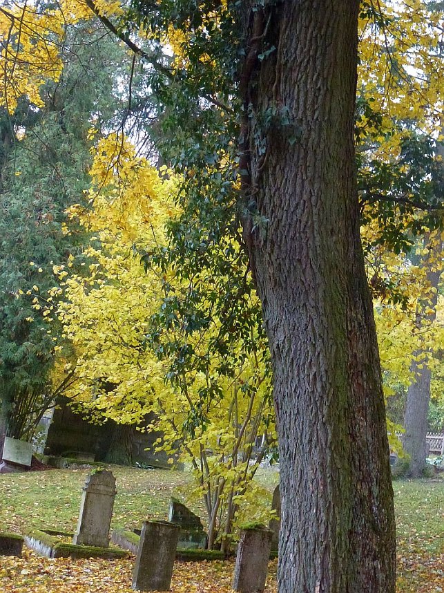 Rundgang auf J&uuml;dischem Friedhof
