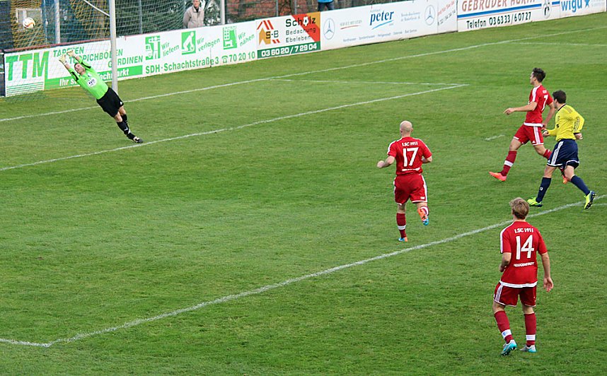 Starke G&auml;ste auf dem G&ouml;ldner von Sondershausen