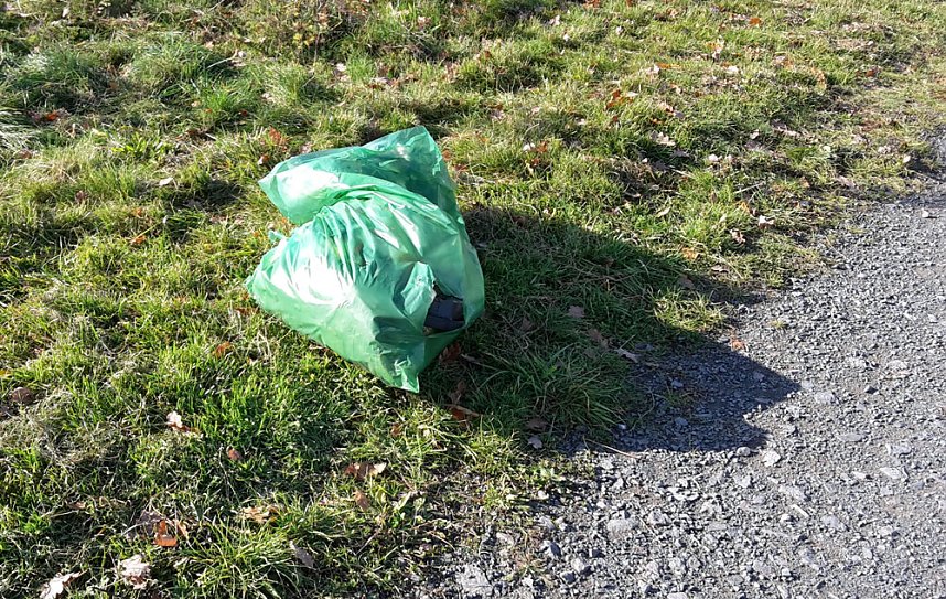 Es ist schon erstaunlich was da so alles entlang der Wipper in Sondershausen abgeladen wird. Dabei hat kn wieder einige frische und alte Entdeckungen gemacht�  ###pic### Hier wurden mal wieder in einem M&uuml;llsack offensichtlich alte Pflanzgef&auml;&szlig;e entsorgt. So weit ja noch ganz gut.  ###pic### Muss man aber seine M&uuml;llt&uuml;ten unbedingt auf dem Wipperdamm nahe der Kiesgrube ablegen. Wer macht sich die M&uuml;h