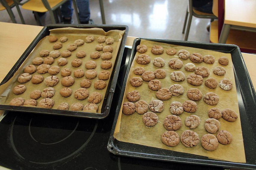 "Interkulturellen Aktionstag" an &Ouml;stertalschule