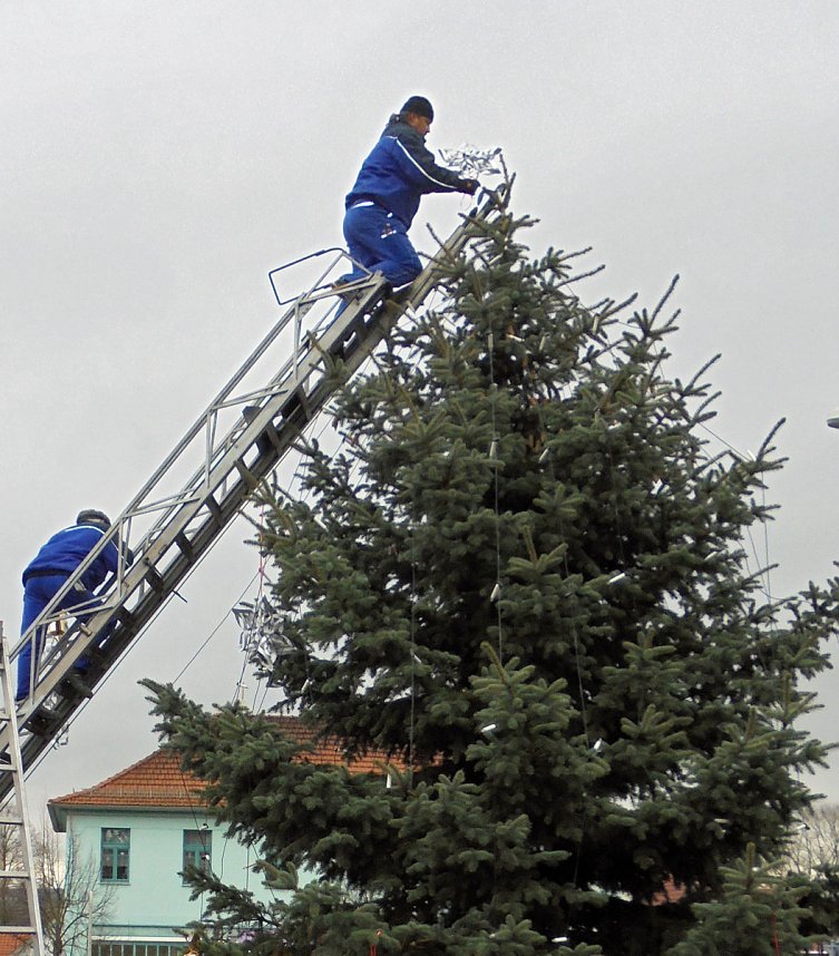 Helbespatzen schm&uuml;ckten den Ebelebener Weihnachtsbaum
