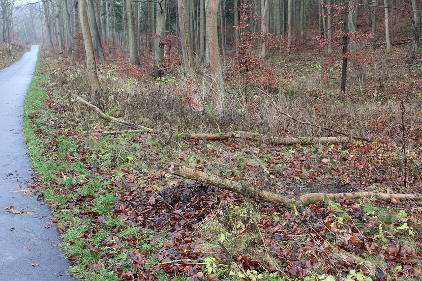 Verkehrssicherungspflicht mit Augenma&szlig;?