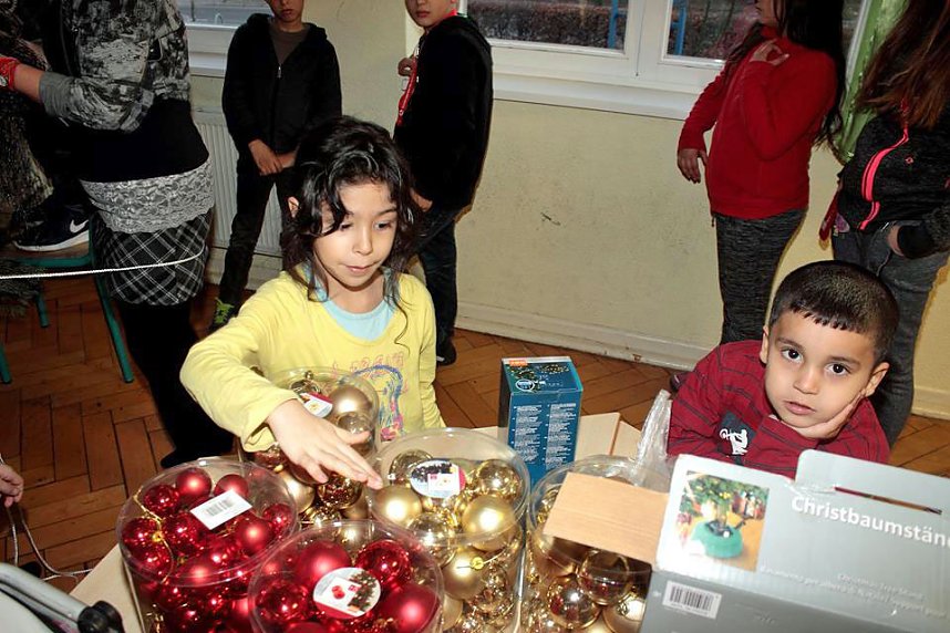 Nicht nur Weihnachtsbaum gesammelt