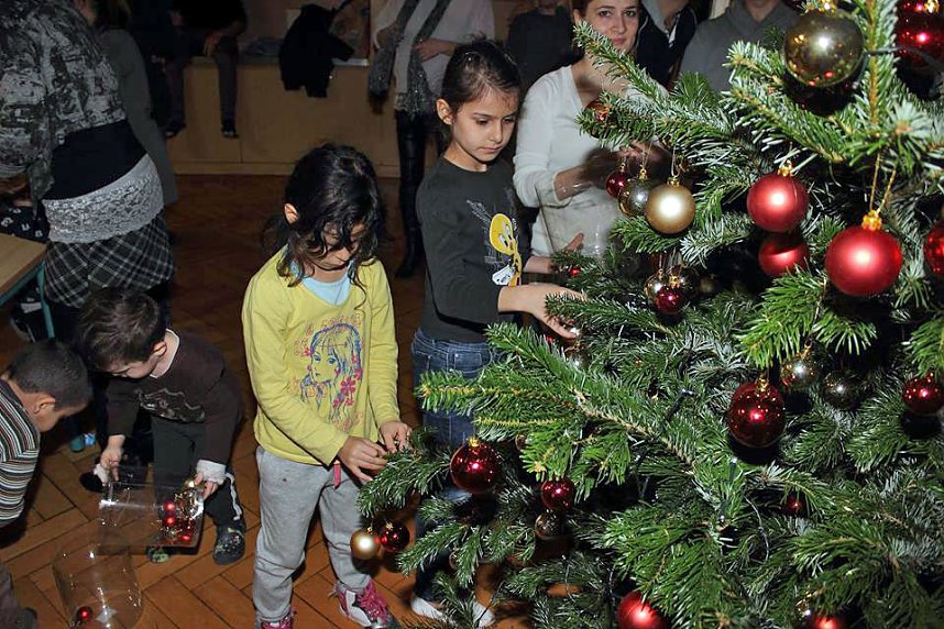 Nicht nur Weihnachtsbaum gesammelt