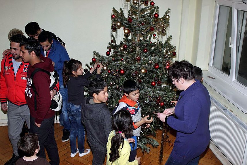 Nicht nur Weihnachtsbaum gesammelt