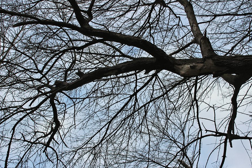 Br&uuml;ckental von Sondershausen meiden