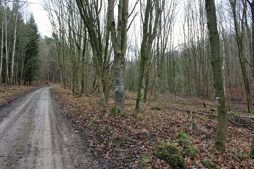 Br&uuml;ckental von Sondershausen meiden