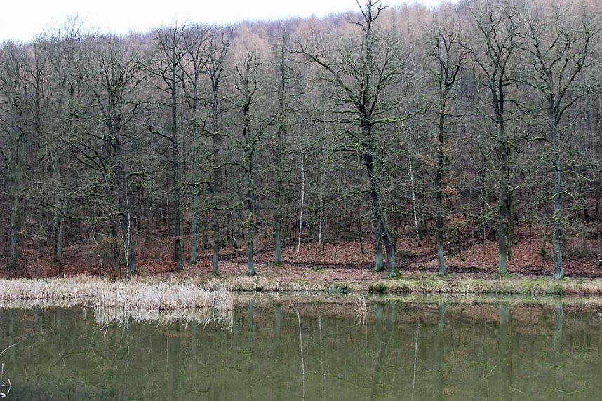 Br&uuml;ckental von Sondershausen meiden