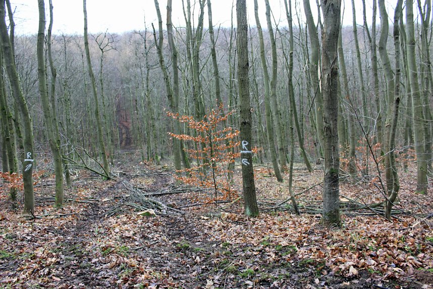 Br&uuml;ckental von Sondershausen meiden