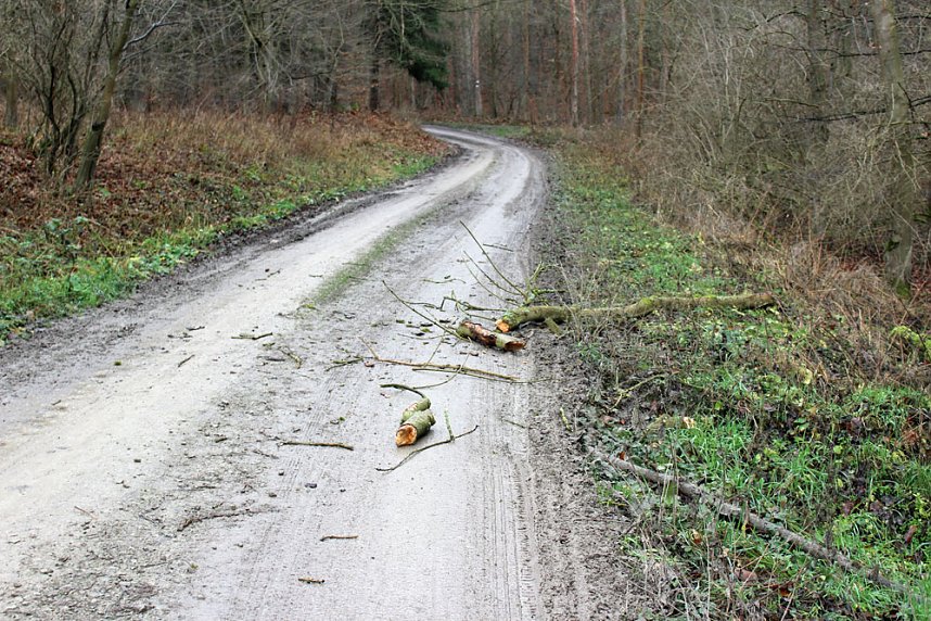 Br&uuml;ckental von Sondershausen meiden