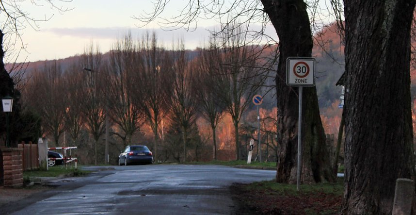 Kahlschlag um und hinterm Hammateich?