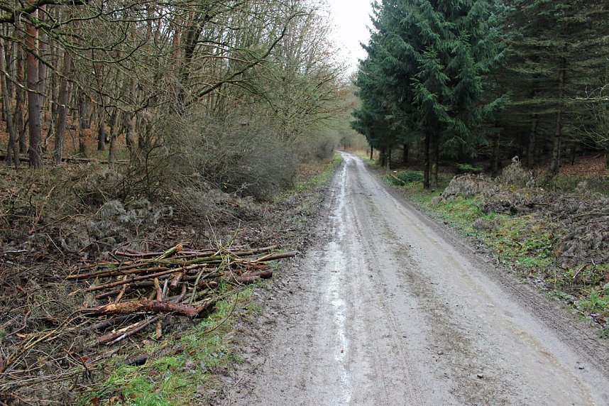 Nicht nur gr&uuml;ne Oasen