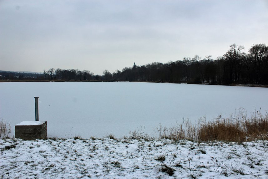 Gef&auml;hrlicher Leichtsinn auf Parkteich