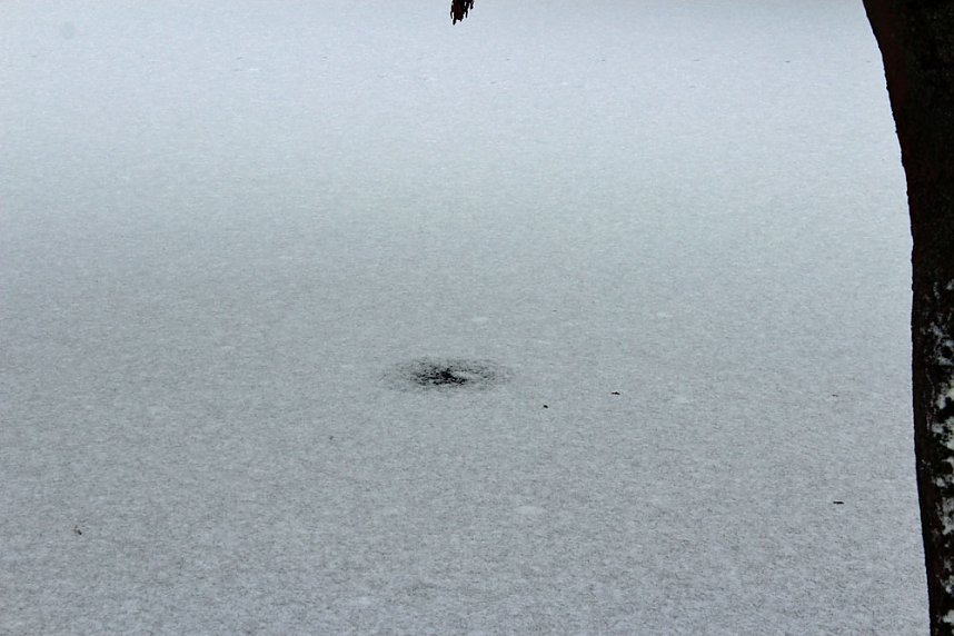 Gef&auml;hrlicher Leichtsinn auf Parkteich