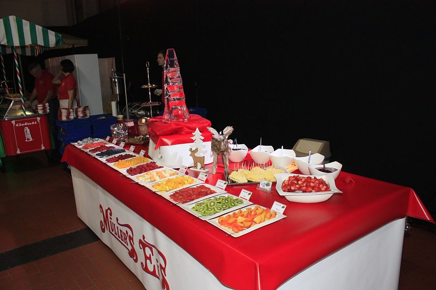 20. &Auml;rzte- und Apothekerball in Nordhausen