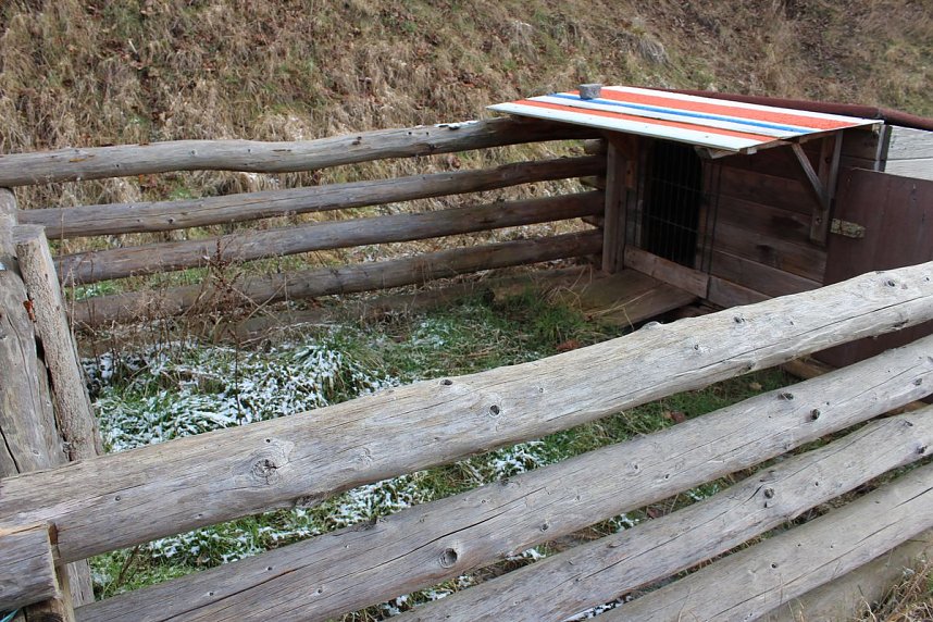 Katastrophaler Zustand und viel Arbeit