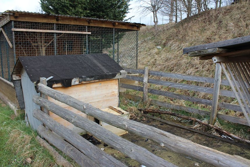 Katastrophaler Zustand und viel Arbeit