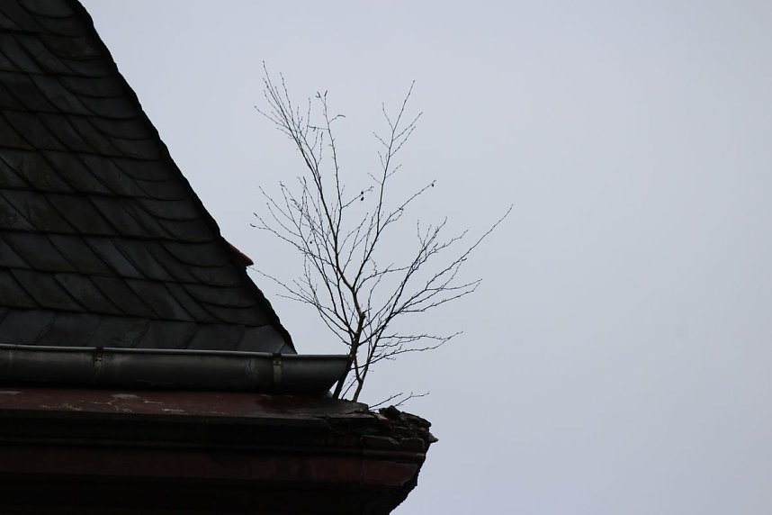 Sanieren, abrei&szlig;en oder einst&uuml;rzen lassen?