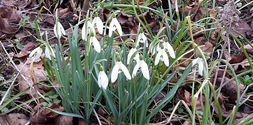 Es bl&uuml;ht und gr&uuml;nt trotz Wetterwarnung