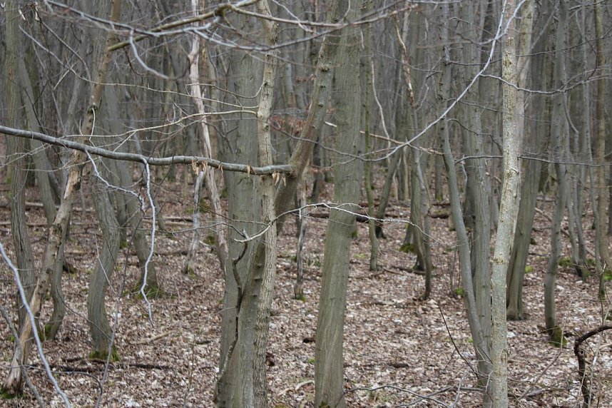 B&uuml;rgerinitiative mit Staatssekret&auml;r unterwegs