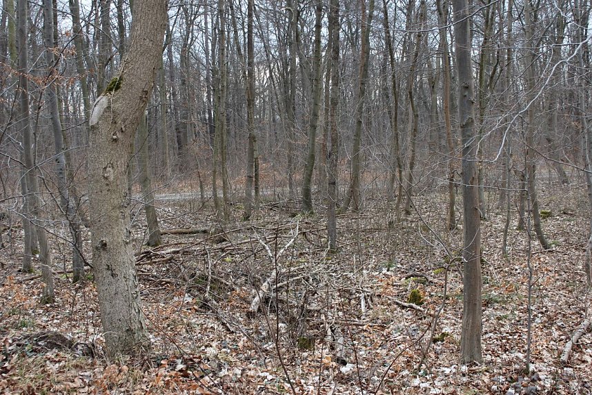 B&uuml;rgerinitiative mit Staatssekret&auml;r unterwegs