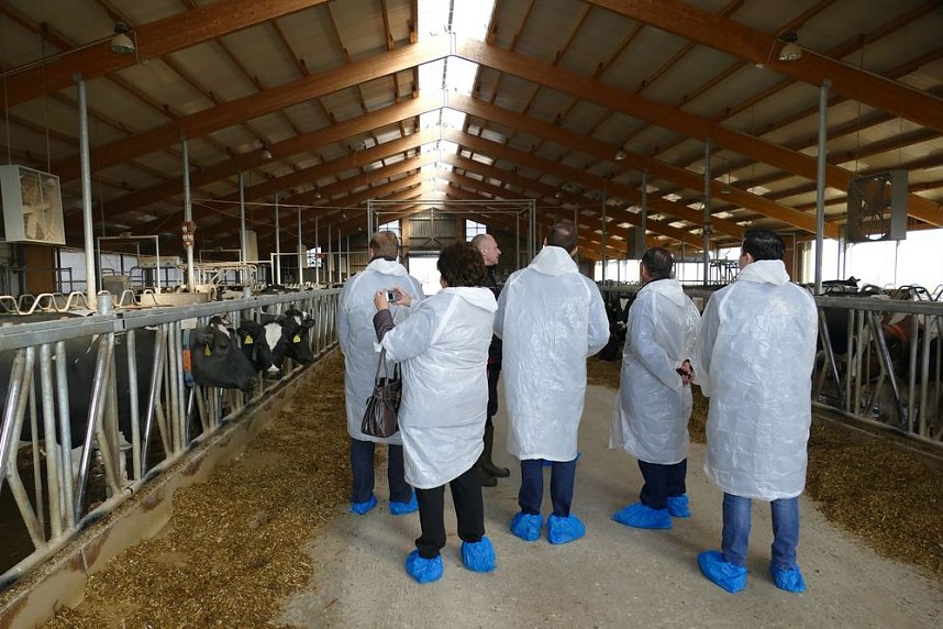 Besuch aus Rum&auml;nien im Kyffh&auml;userkreis