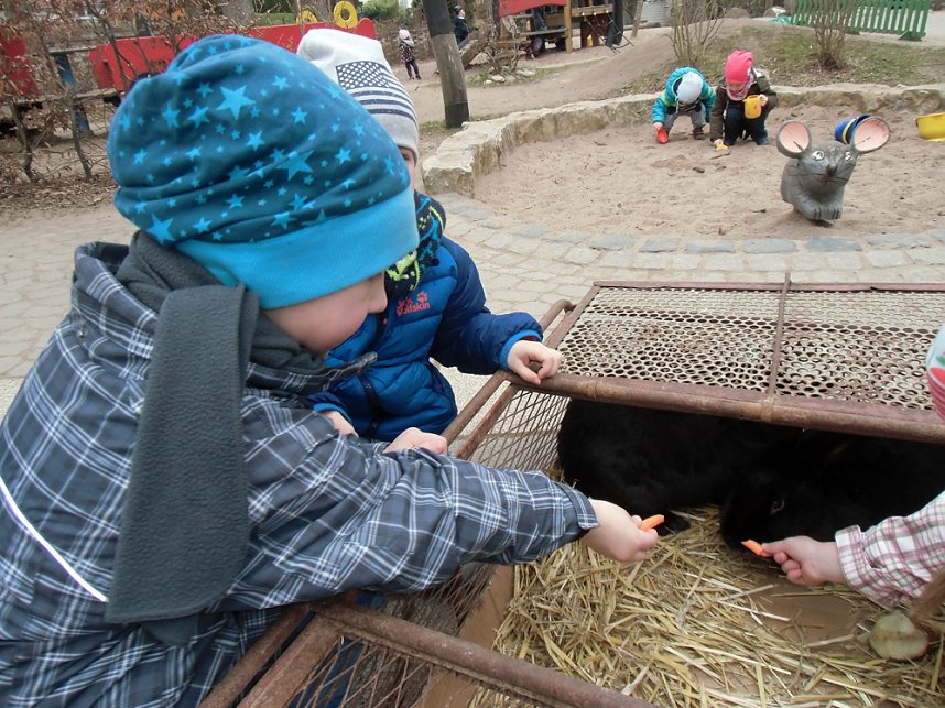 Ostergr&uuml;&szlig;e aus Frankenhausen