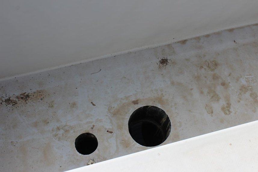 Massenandrang im Kurpark Bad Frankenhausen