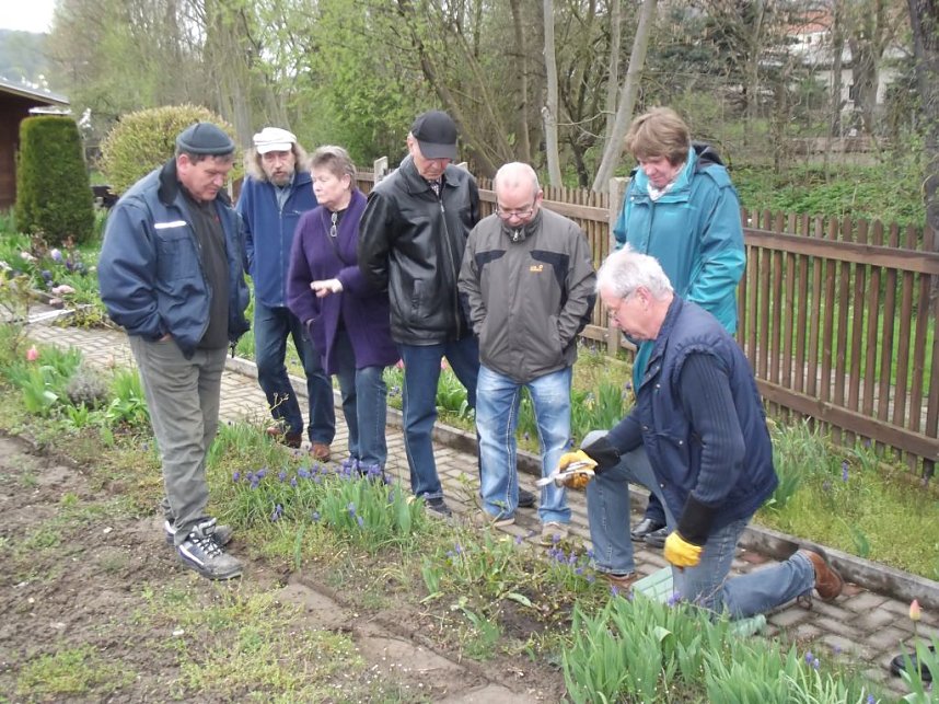 Interessante Rosenseminare mit Bernd Schlichting