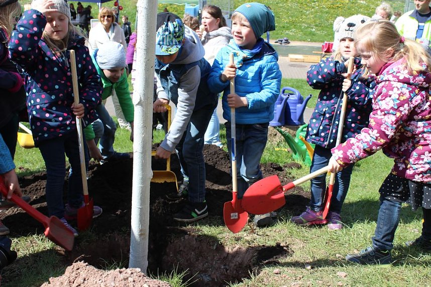 Wettergl&uuml;ck beim Baumfest