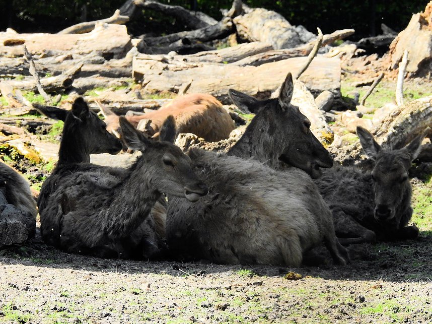 Peter Blei unterwegs in K&ouml;then