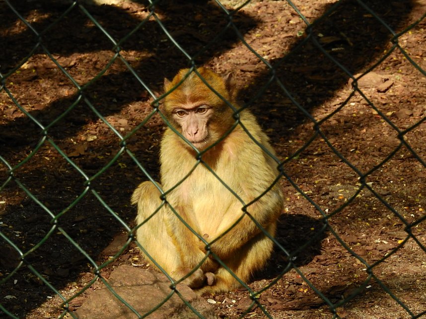 Peter Blei unterwegs in K&ouml;then
