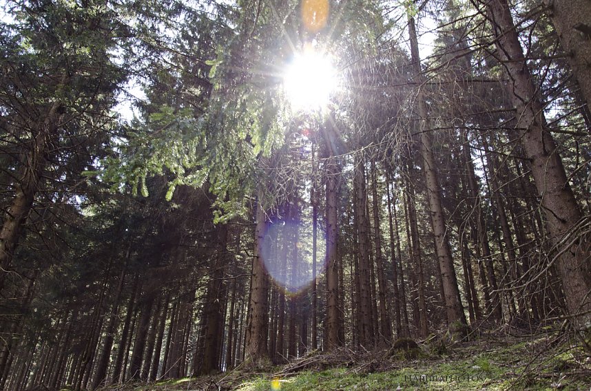 Unterwegs im Naturpark S&uuml;dharz