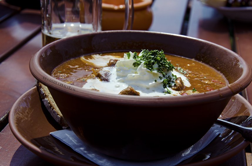 Unterwegs im Naturpark S&uuml;dharz