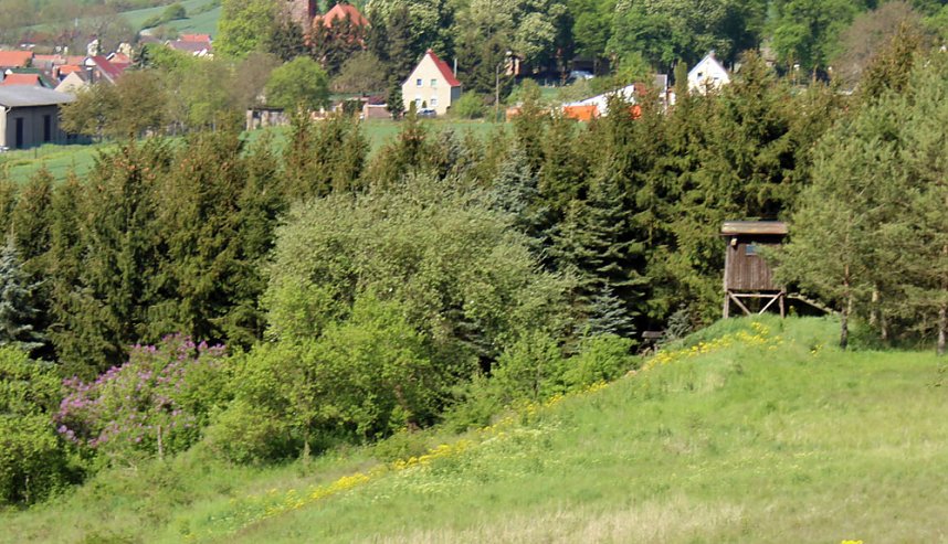 Studien zur Erhaltung der Natur