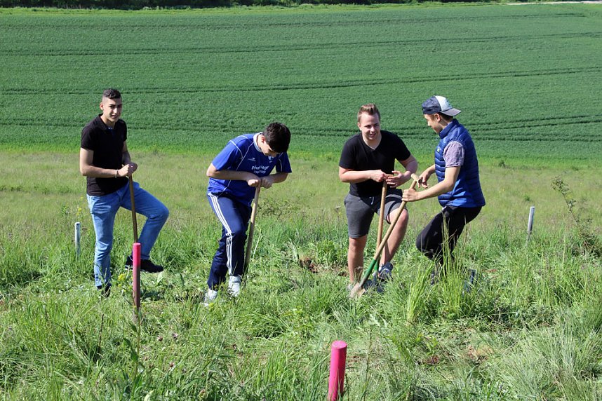 Studien zur Erhaltung der Natur